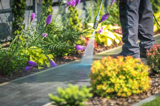 Trusted Haworth, NJ Pressure Washing Services Experts
